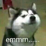 emmmm表情包下载 无水印全套