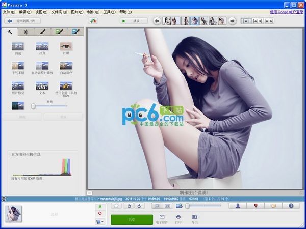 Picasa中文版-Google Picasa下载 3.9.141.259中文版