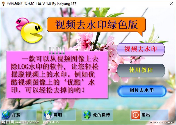 图片视频去水印软件-视频&图片去水印工具下载 v1.0绿色版