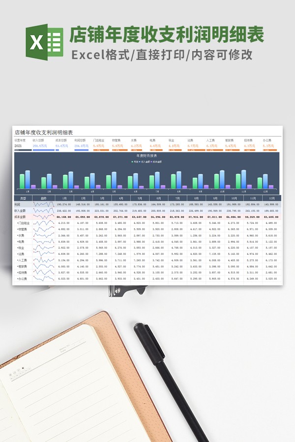 店铺收入支出明细表模板-店铺年度收支利润明细表模板下载 免费版