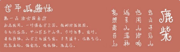 仓耳瓜藤体