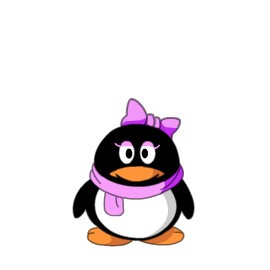 QQ宠物游戏下载 1.0.0 单机版