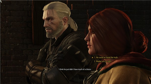 巫师3狂猎特莉丝半扎丸子头发型MOD下载