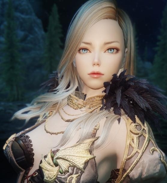 上古卷轴5天际韩风御姐随从mod下载