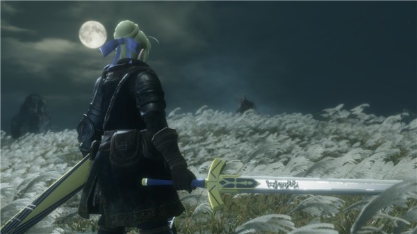 只狼影逝二度契约胜利之剑MOD下载