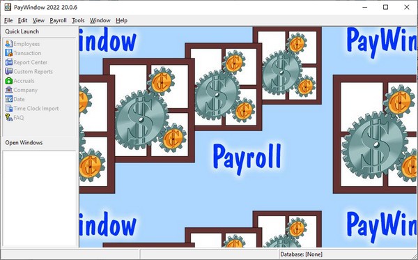 PayWindow 2022(薪酬管理软件)