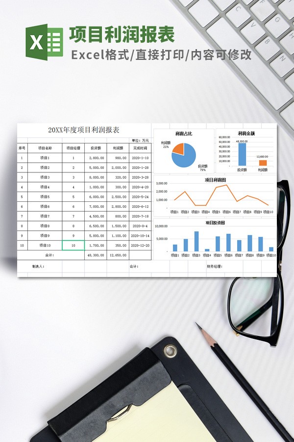 项目利润报表模板