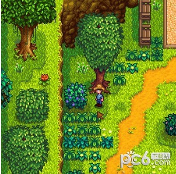 星露谷物语Crucifigo的Joja动物和豪华谷仓和炉灶MOD下载