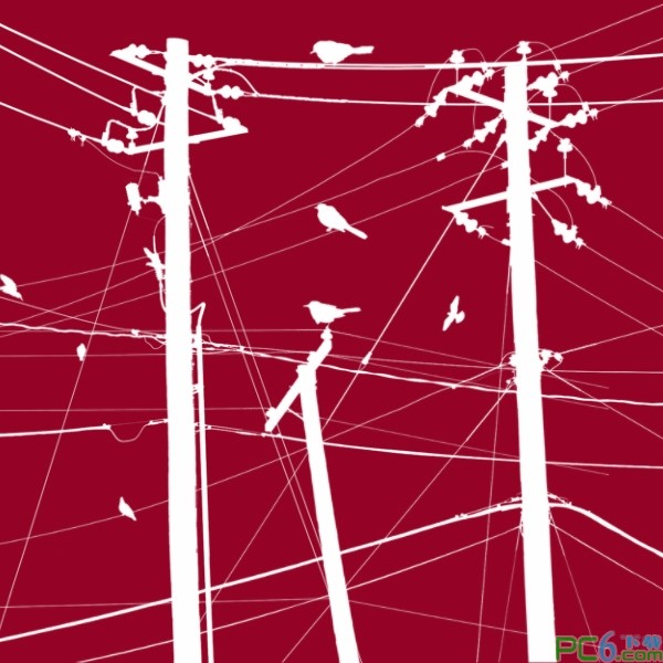 19款鸟类和电线杆笔刷下载 -鸟和电线杆笔刷