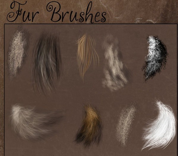 ps动物毛发笔刷-ps动物毛发笔刷下载 免费版