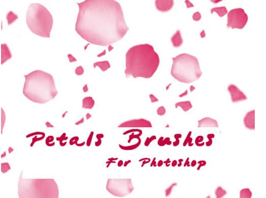 ps花瓣笔刷-ps花瓣飘落笔刷下载 免费版