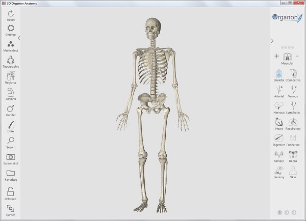 3d人体解剖学软件下载-3d人体解剖软件下载 v3.0.0绿色版