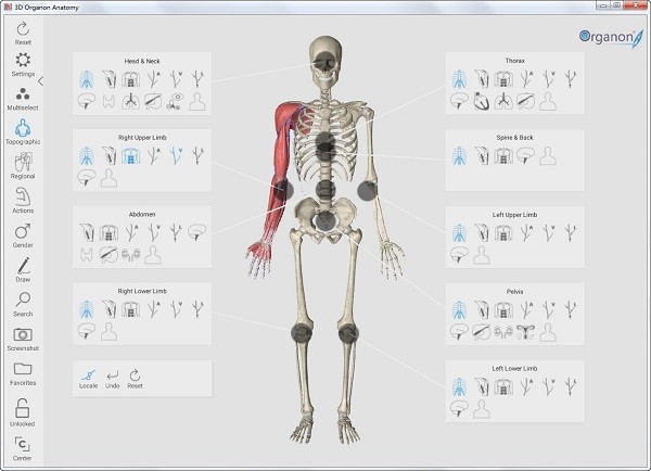 3d人体解剖软件
