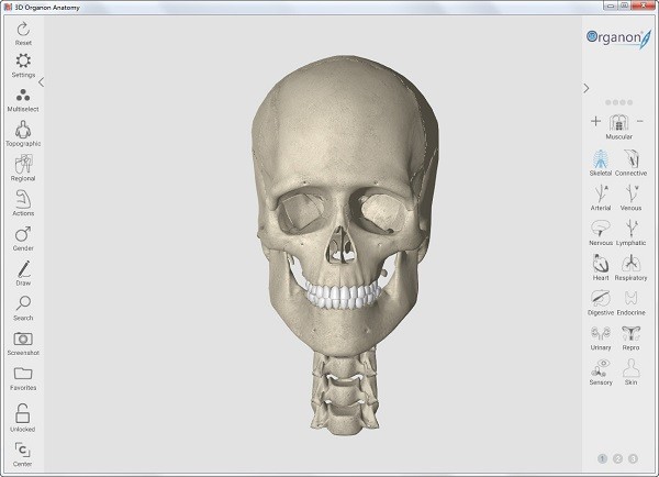 3d人体解剖软件