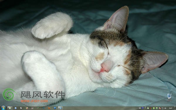 微软Windows7官方主题《可爱猫咪》下载 -微软Windows7官方幻灯片主