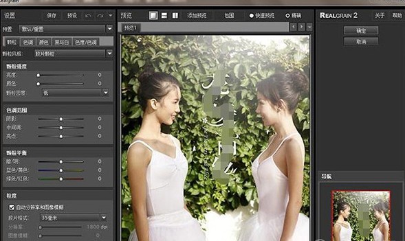Imagenomic RealgrainI(胶片噪点效果PS插件)下载 v2.1.2官方版