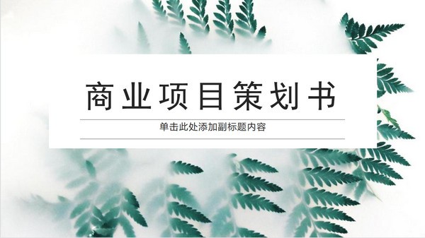 商业项目策划书PPT模板免费下载-商业项目策划书PPT模板下载 免费版