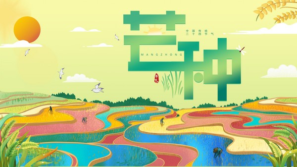 色彩饱满稻田背景芒种节气PPT模板