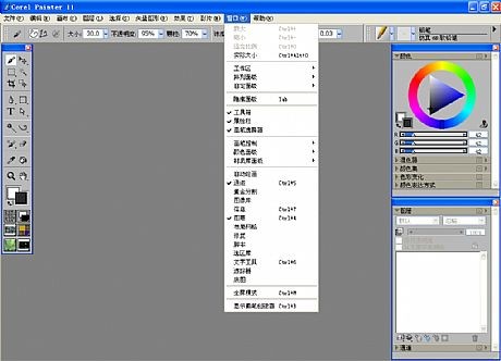 Corel Painter(绘图工具)下载 11.0 龙卷风版-Corel Painter