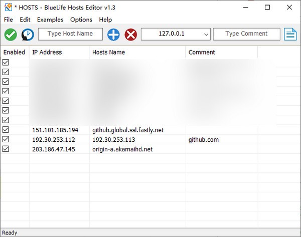 hosts文件编辑器(BlueLife Hosts editor)下载 v1.3免费版