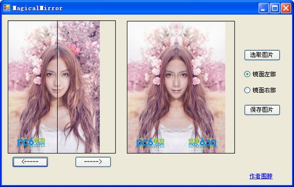 左右脸对称软件-MagicalMirror下载 v1.0绿色版