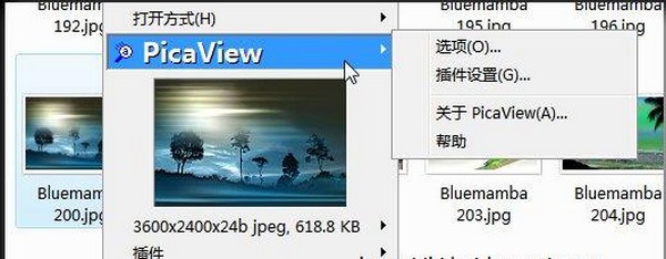 PicaView(右键浏览图片)下载 V2.0 汉化增强版-picaview win7兼容64