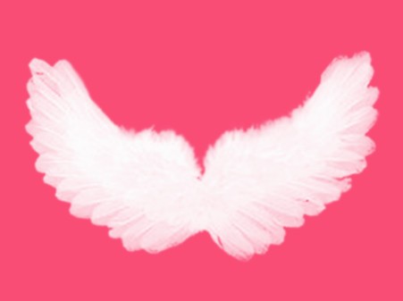 ps白色天使翅膀笔刷下载 -ps天使翅膀笔刷