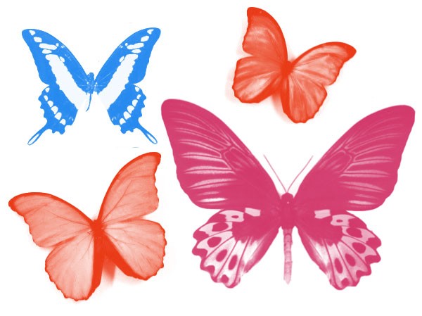 ps蝴蝶笔刷下载 -ps蝴蝶笔刷