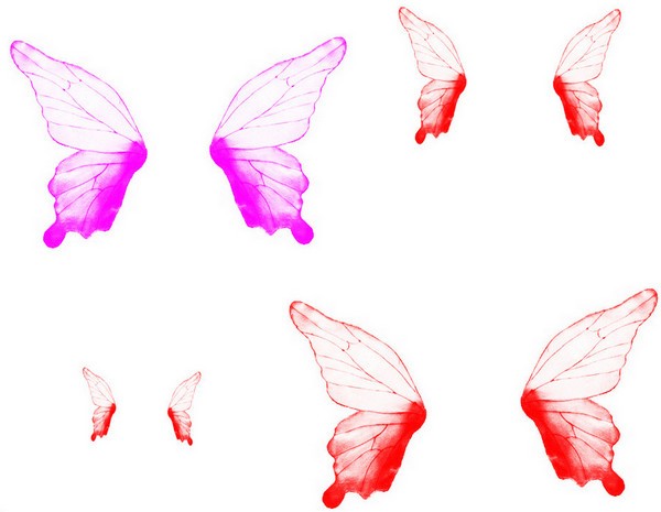 PS昆虫翅膀笔刷下载下载 -PS昆虫翅膀笔刷