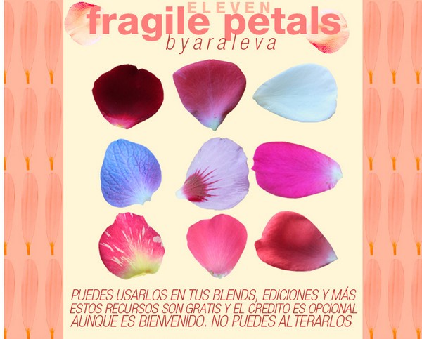 ps玫瑰花素材-PS玫瑰花笔刷下载