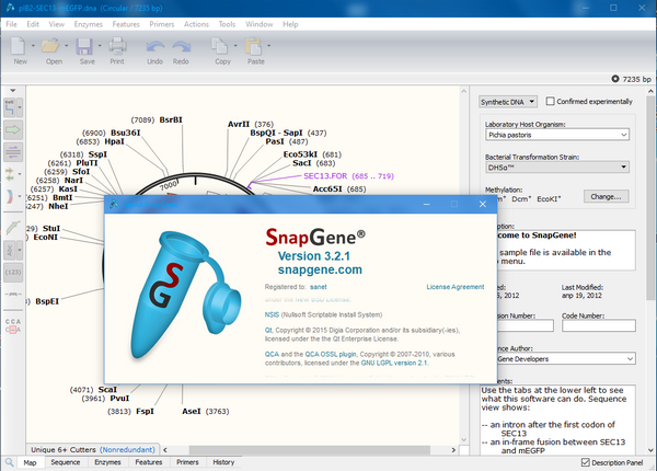 SnapGene-GSL Biotech SnapGene(分子生物学软件)下载 v5.2.5.0免费版