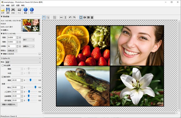 photozoom classic 8-PhotoZoom Classic(图片无损放大)下载 v8.0官方版