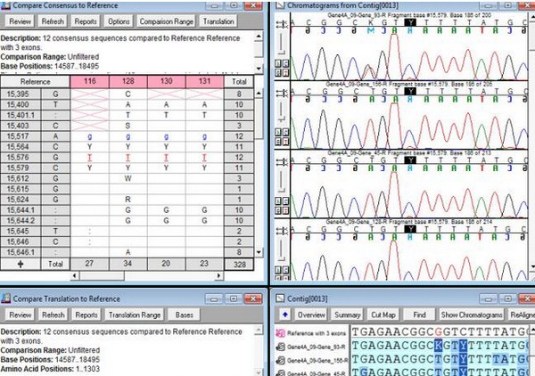 gene codes sequencher(DNA序列分析入拼接软件)下载 v5.4.44511官方版