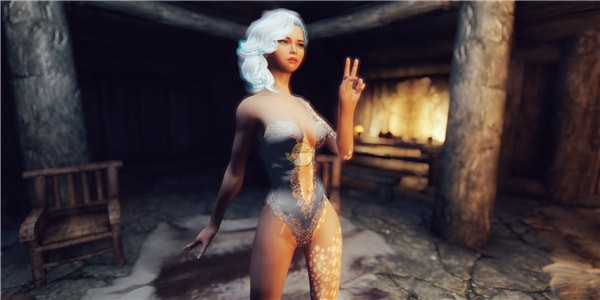 上古卷轴5雪女独立追随者MOD下载