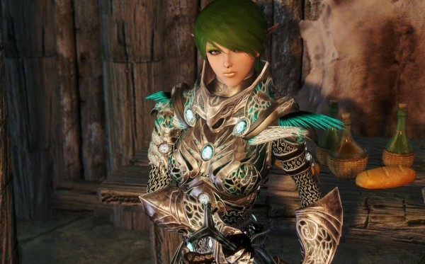 上古卷轴5美女精灵剑士德鲁希丽雅MOD下载