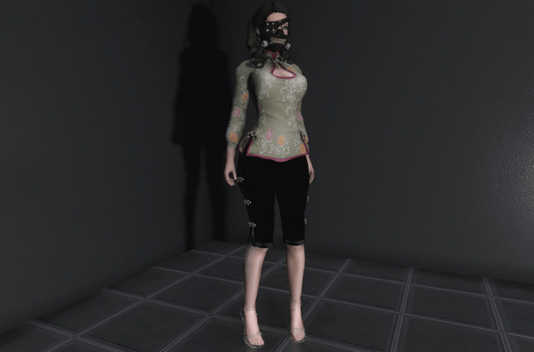 上古卷轴5死或生5陈佩中国风服装MOD-上古卷轴5天际重制版陈佩中国风服装MOD下载