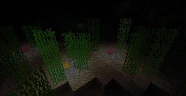 我的世界mod海洋世界