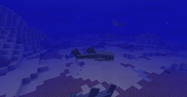 我的世界mod海洋世界