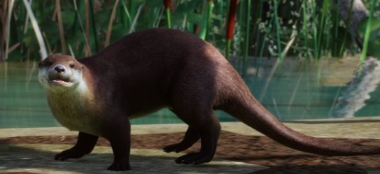 动物园之星增添欧亚水獭作为新物种MOD下载