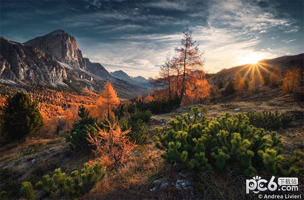 Alien Skin Exposure X4 for Mac-Alien Skin Exposure X4 Mac版下载 V7.1.3.186