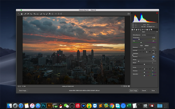 Adobe CameraRaw Mac版-CameraRaw Mac下载 V11.4.0