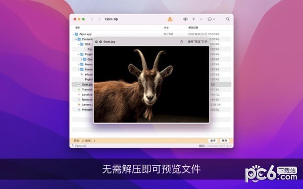 Zipro Mac版