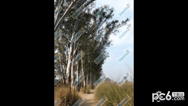 PhotoX for Mac-PhotoX Mac版下载 V6.2.1