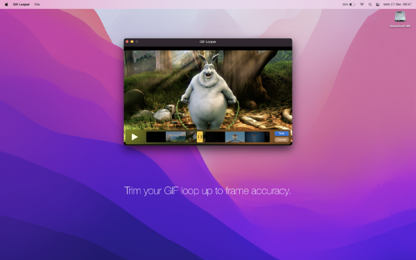 GIF Looper for Mac-GIF Looper Mac版下载 V1.0