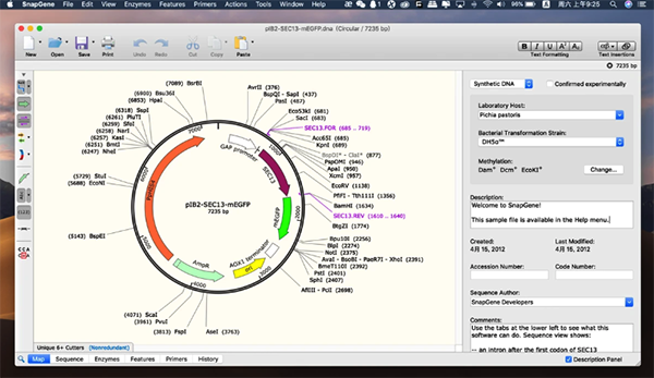 SnapGene for mac