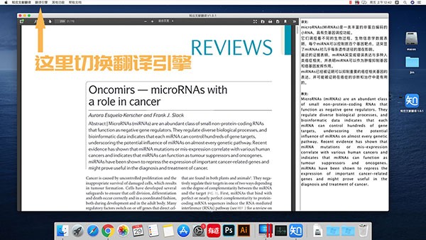 知云文献翻译for Mac