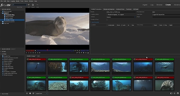 CatDV Pro Mac版-CatDV Pro for mac下载 V14.1.0