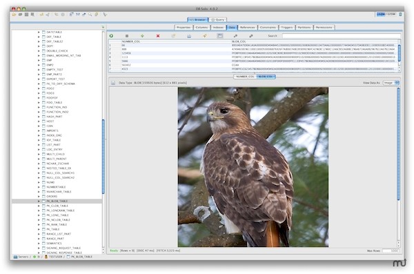 DB Solo Mac版-DB Solo for mac下载 V5.2.4
