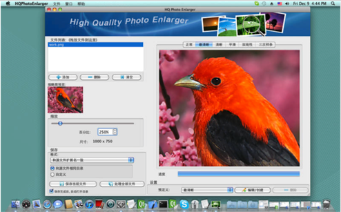 HQ Photo Enlarger mac版-HQ Photo Enlarger for mac下载 V1.68
