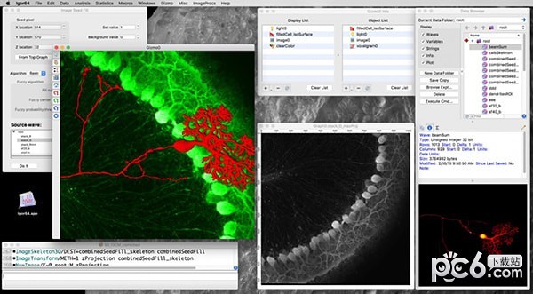 IGOR Pro for mac